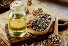 فواید و مضرات روغن کرچک: راهنمای کامل برای مراقبت از پوست و مو
