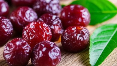 راهنمای جامع خشک کردن آلبالو