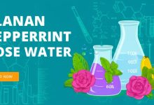 آیا بارهنگ، عرق نعنا و گلاب برای لاغری موثرند