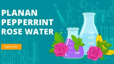 آیا بارهنگ، عرق نعنا و گلاب برای لاغری موثرند