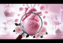 آیا گلاب برای تپش قلب مفید است؟ ۷ راهکار طبیعی + هشدارهای مهم