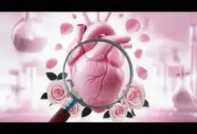آیا گلاب برای تپش قلب مفید است؟ ۷ راهکار طبیعی + هشدارهای مهم