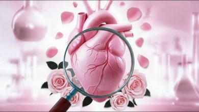 آیا گلاب برای تپش قلب مفید است؟ ۷ راهکار طبیعی + هشدارهای مهم