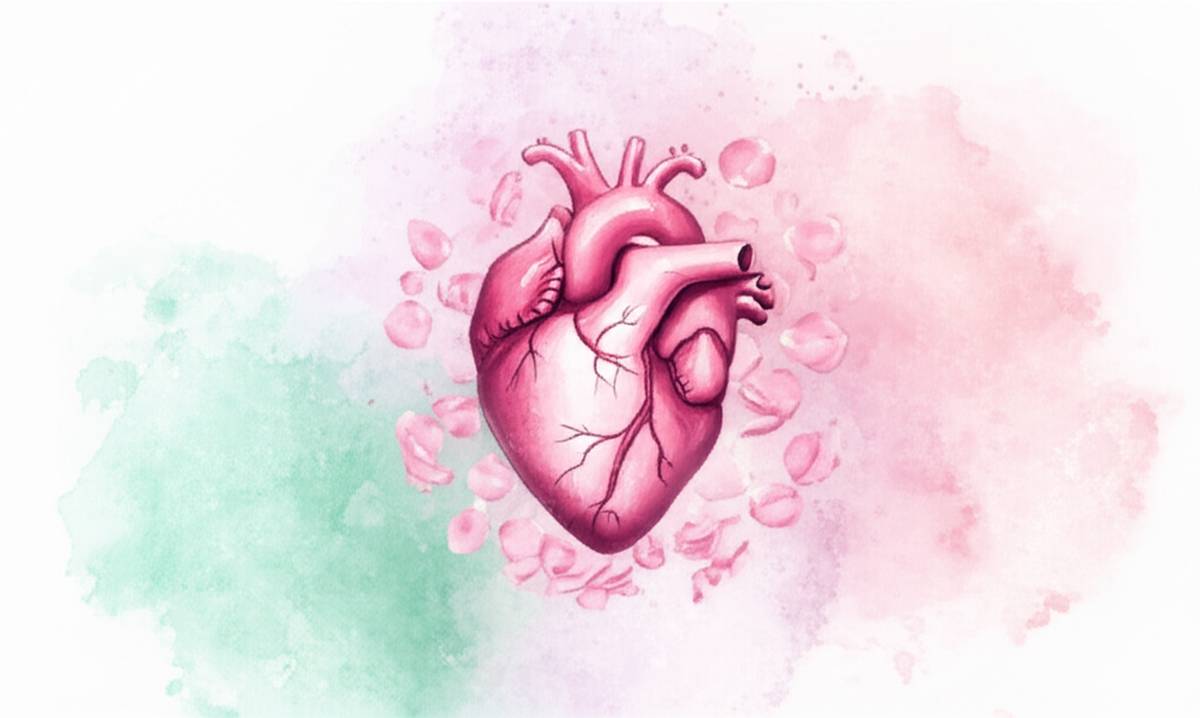 مکانیسم اثر گلاب بر تپش قلب: چگونه گلاب کمک میکند؟