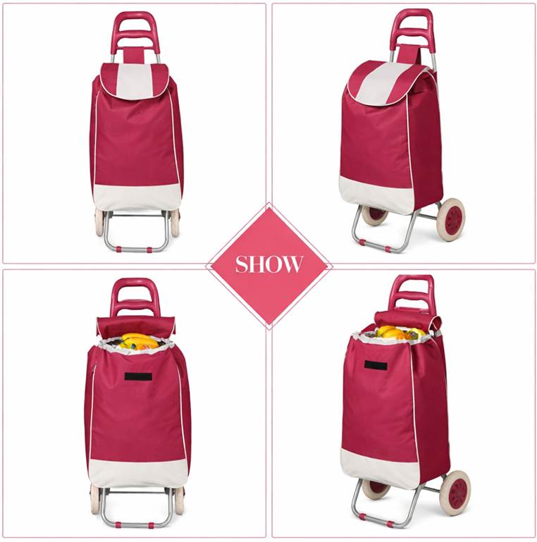 راهنمای خرید چرخ خرید؛ بررسی انواع مدل‌های تاشو و فلزی