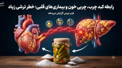 ترشی و کبد چرب؛ این خوراکی محبوب چه بلایی سر چربی خون و قلب می‌آورد؟