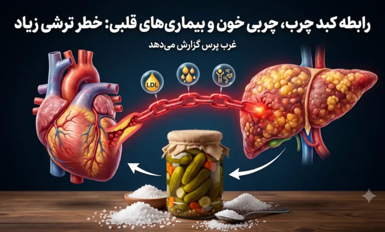 ترشی و کبد چرب؛ این خوراکی محبوب چه بلایی سر چربی خون و قلب می‌آورد؟