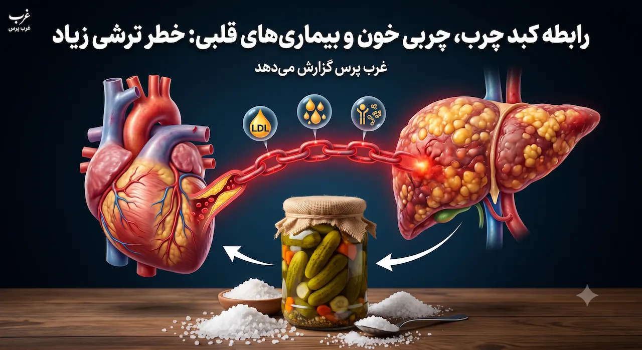 ترشی و کبد چرب؛ این خوراکی محبوب چه بلایی سر چربی خون و قلب می‌آورد؟
