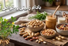 خواص بادام زمینی؛ فواید، مضرات و بهترین روش مصرف
