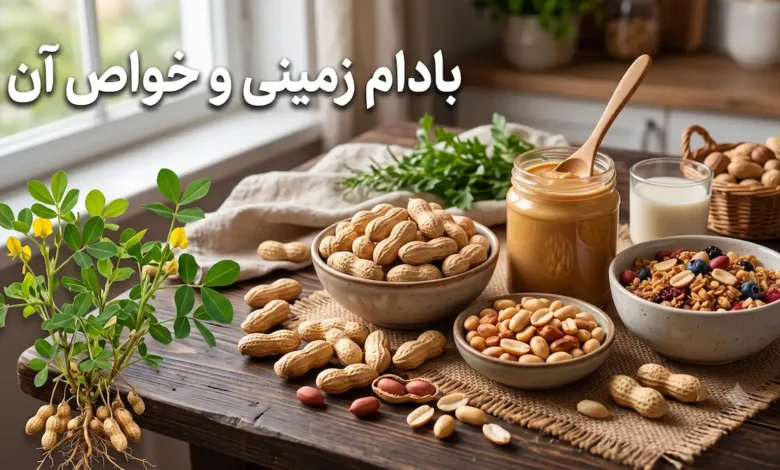 خواص بادام زمینی؛ فواید، مضرات و بهترین روش مصرف
