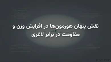 نقش پنهان هورمون‌ها در افزایش وزن و مقاومت در برابر لاغری