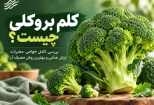 کلم بروکلی چیست؟ بررسی کامل خواص، مضرات، ارزش غذایی و بهترین روش مصرف آن