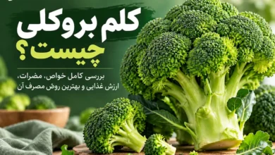 کلم بروکلی چیست؟ بررسی کامل خواص، مضرات، ارزش غذایی و بهترین روش مصرف آن