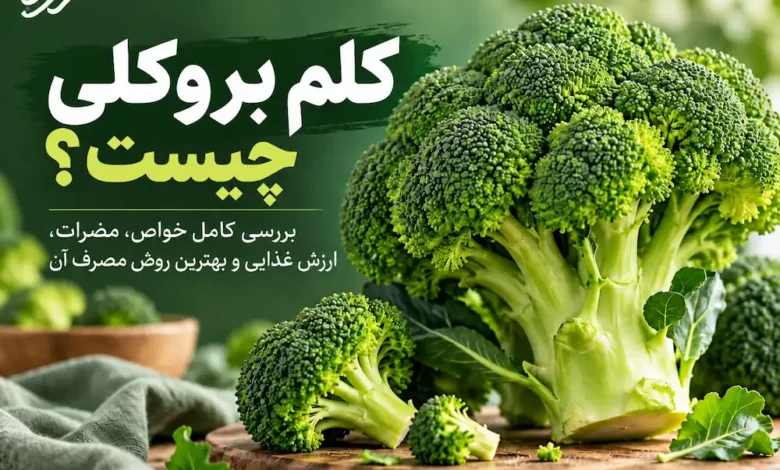کلم بروکلی چیست؟ بررسی کامل خواص، مضرات، ارزش غذایی و بهترین روش مصرف آن