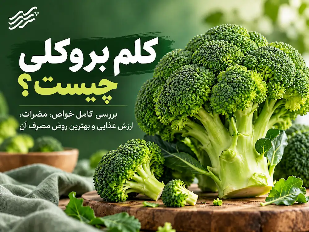 کلم بروکلی چیست؟ بررسی کامل خواص، مضرات، ارزش غذایی و بهترین روش مصرف آن